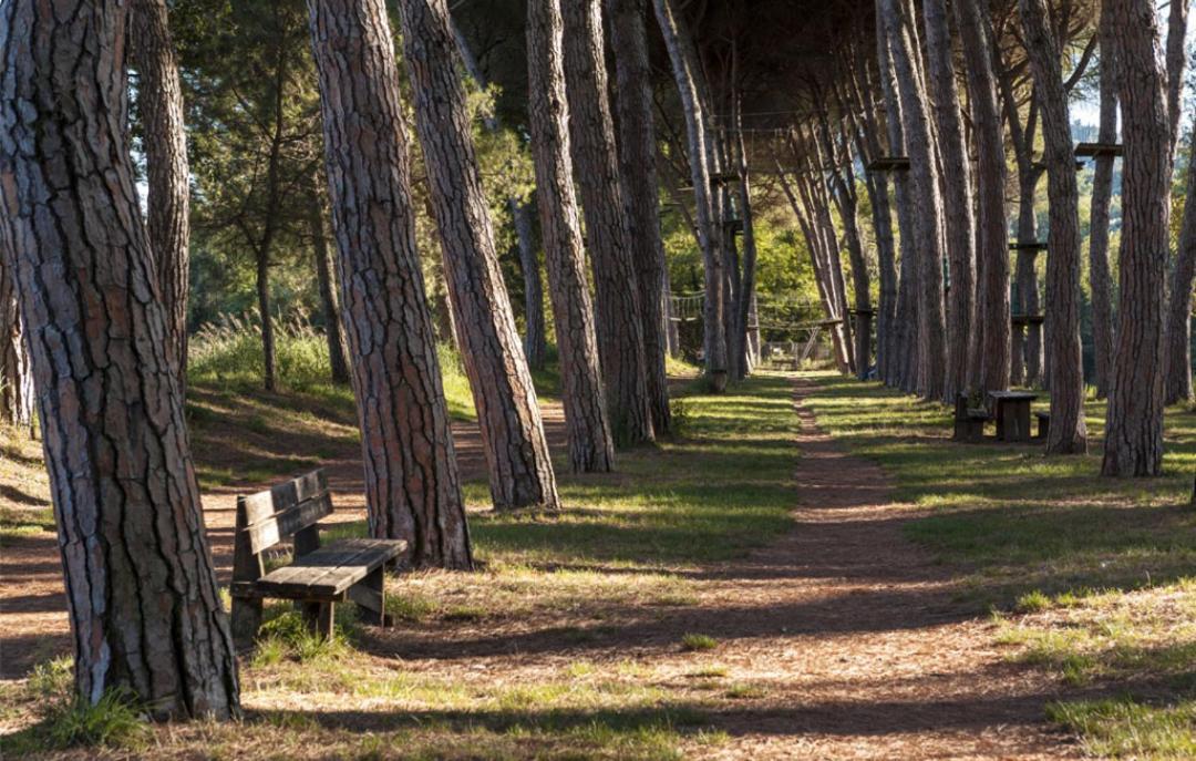 Alloggio Turistico Puccini Perugia Eksteriør bilde